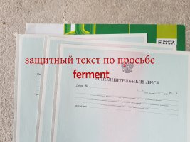 20190711_2031190.jpg