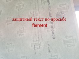 20190711_2032360.jpg