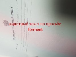 20190711_2034010.jpg