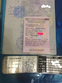 2384369.jpg