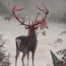 forest deer